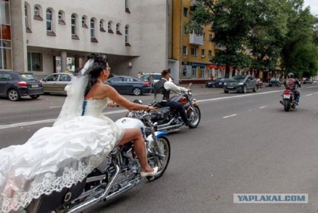 Подборка интересных и веселых фото