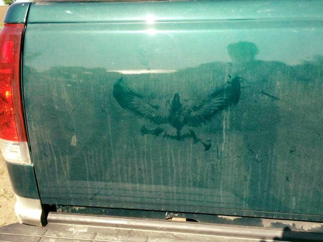 Подборка интересных и веселых фото