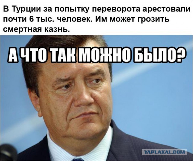 Сводки с виртуальных боёв