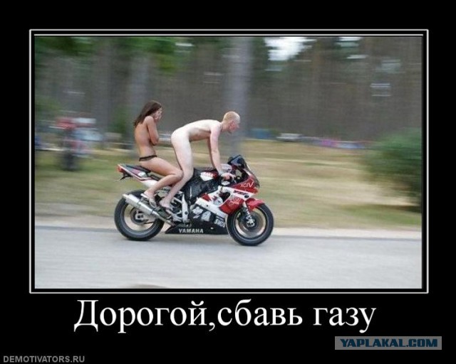 Картинки для тех, кому делать не фиг.