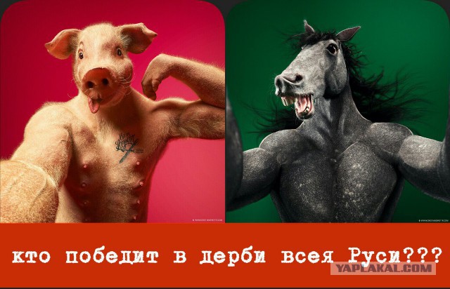 Футбол Чемпионат России 2016-17. Кубок России,РФПЛ,ФНЛ. Часть V