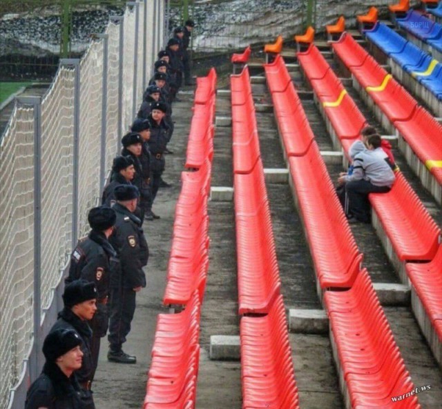 Подборка безудержного веселья