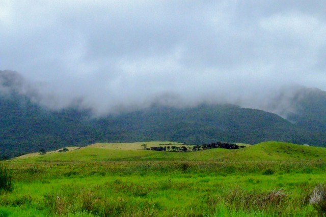 Great Barrier Island. Новая Зеландия.