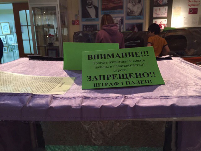 Подборка безудержного веселья