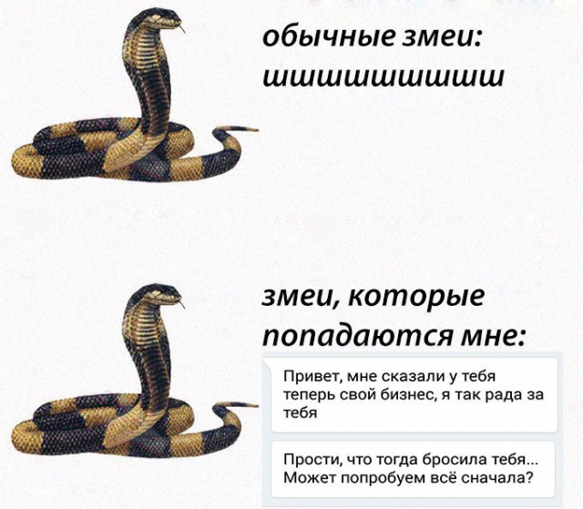 Ужасы и приколы из соцсетей 18+