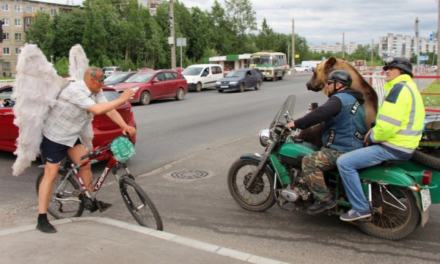 Подборка интересных и веселых картинок