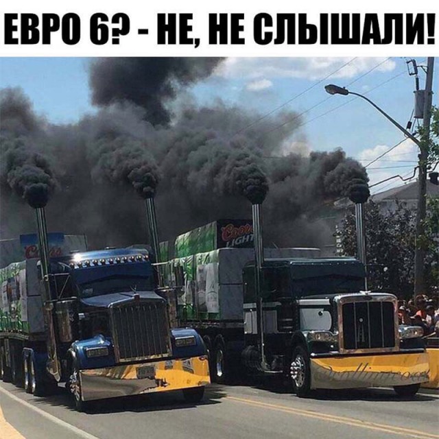 100 картинок для поднятия настроения!