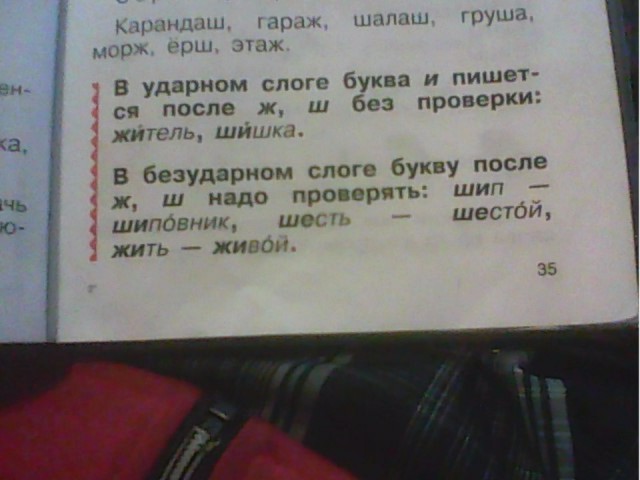Обращение к О.Ю.Васильевой. Пожалейте детей в школе