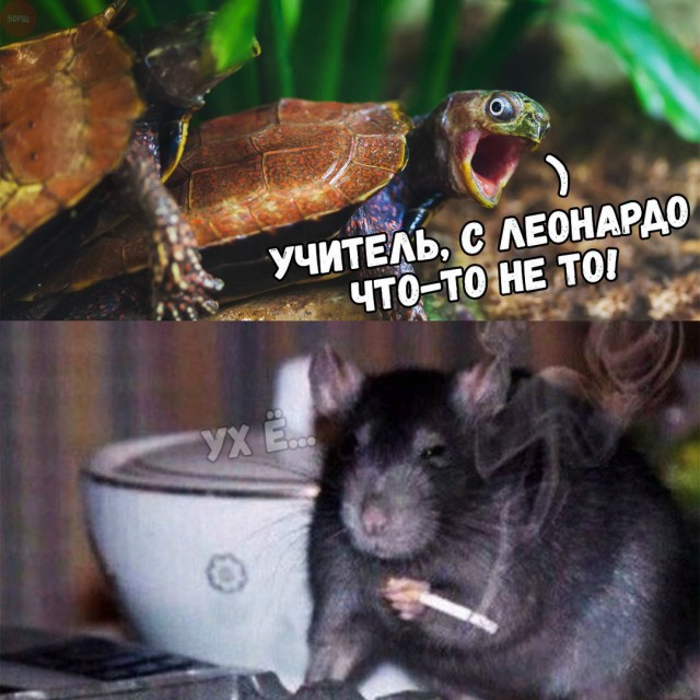 Как-то всё не так, ребята