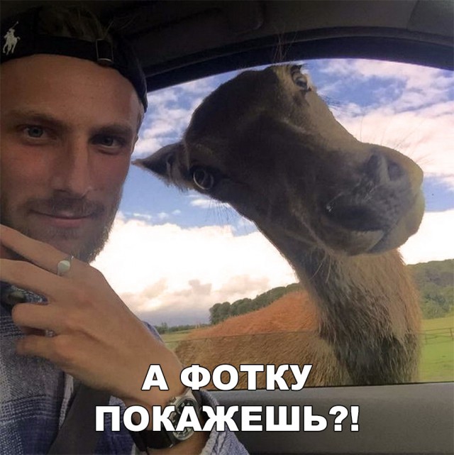 Нестандартный юмор