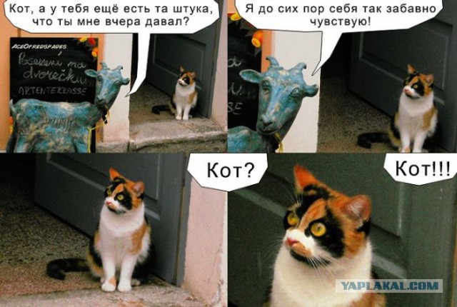 Нестандартный юмор