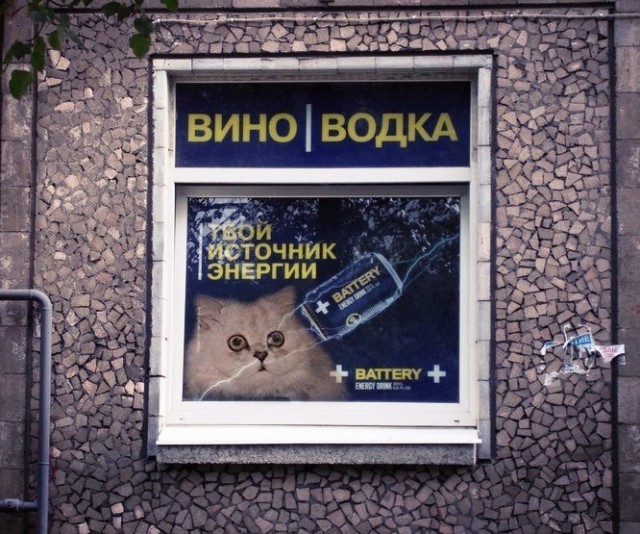 Подборка интересных и веселых картинок 13.04.19