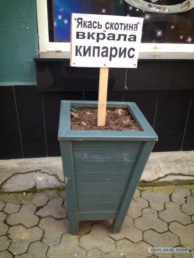 Пятничная подборка кубиков
