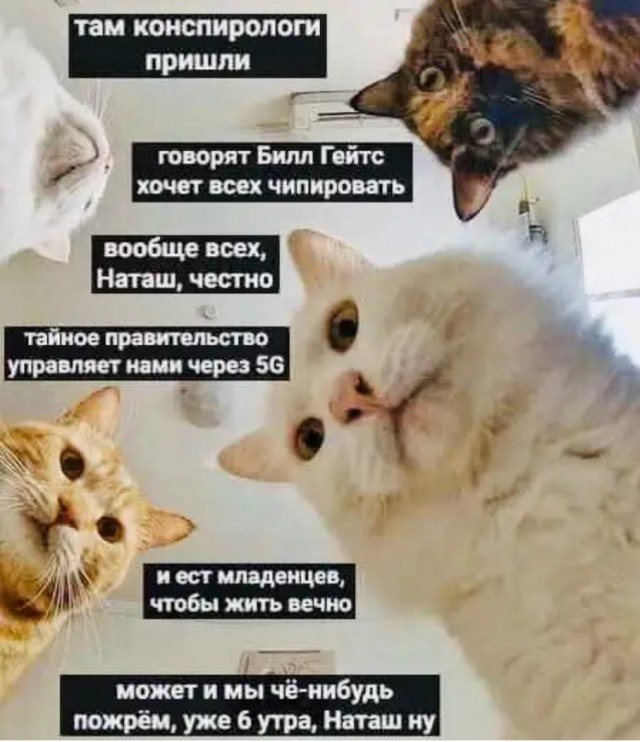 Наташа, вставай!