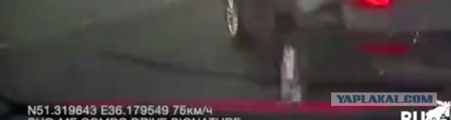 Дурацкое ДТП, Курская область