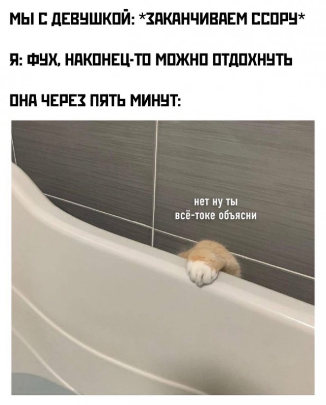 Весёлый полтишок 14.02