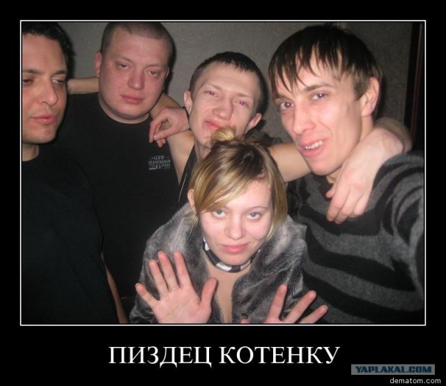 Дерзкий котёнок