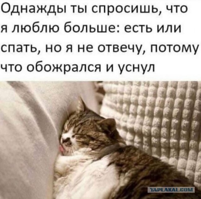 Весёлый полтишок 26.03