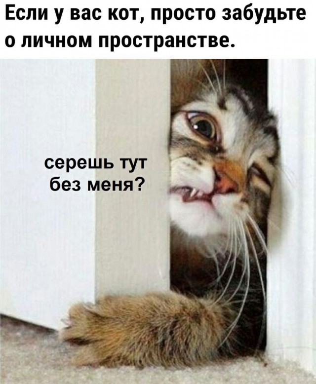 Так себе картинки 25.04.21