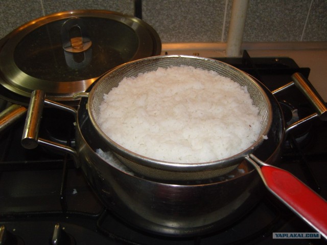 ПЛОВ