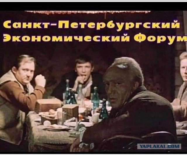 Вы на нас плюете. А мы вас ненавидим