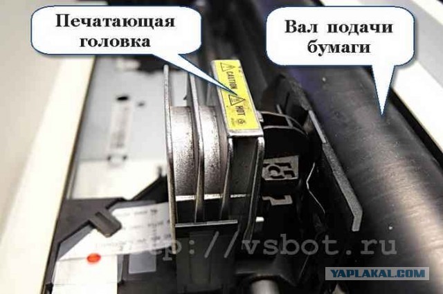 «Душ принимаю прямо в прицепе». Дальнобойщик рассказал, каково жить в фуре неделями