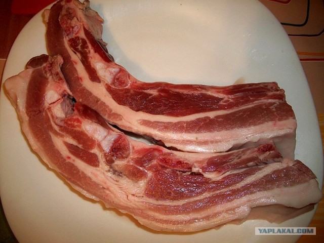 International одной книги., В память о Дженибеке.