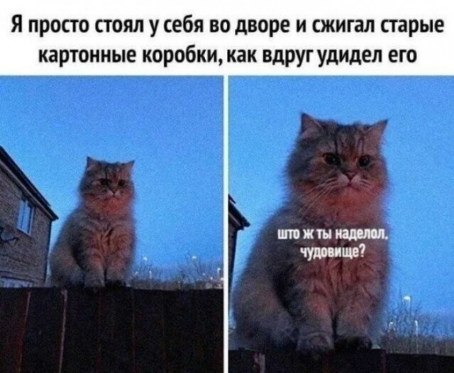 Так себе картинки 23.10.21