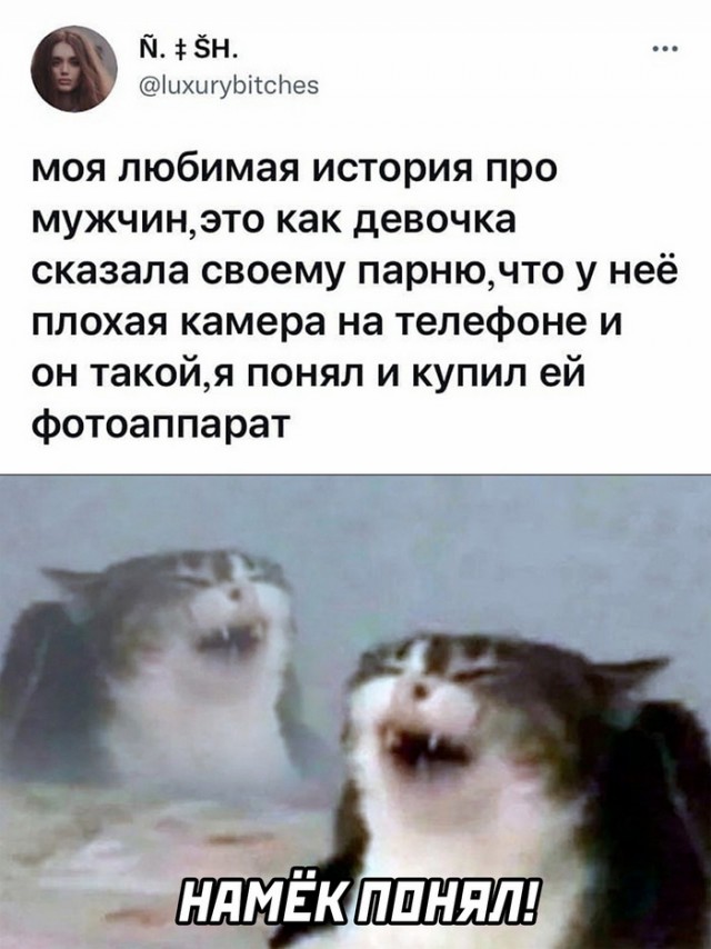 Картинки и мемы для настроения 03.11.2021