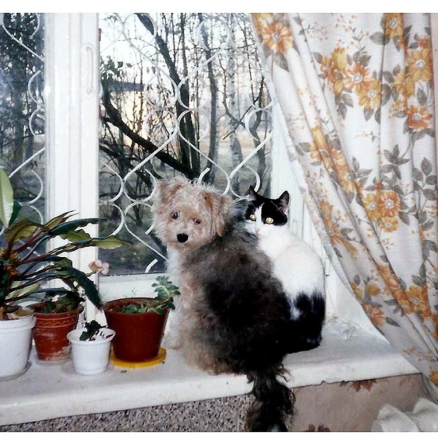 Собакочетверг же? Погнали!