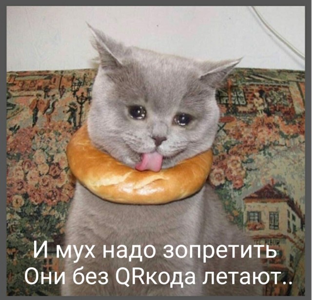 Глава СК Александр Бастрыкин обвинил Моргенштерна в торговле наркотиками в соцсетях