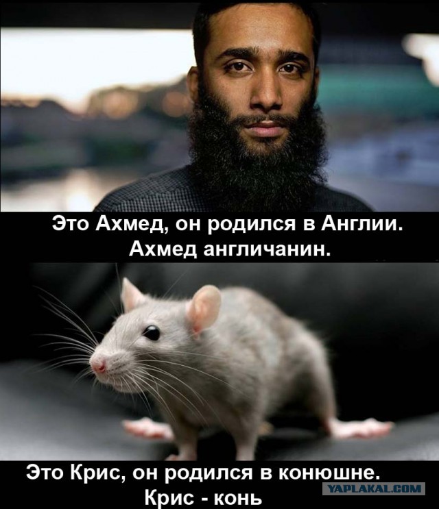 Моногамия уничтожает мужчин