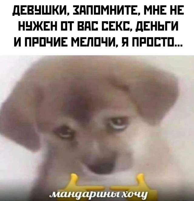 Новогодние и разные картинки