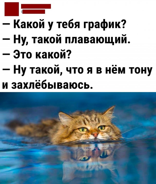 Так себе картинки 17.06.22
