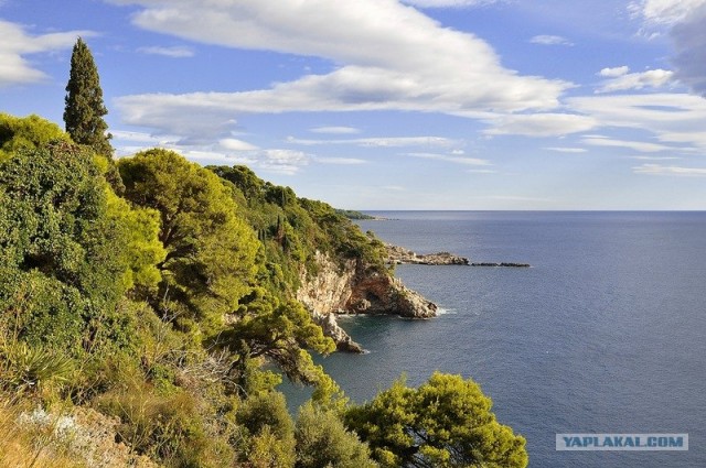 Любовь с первого взгляда