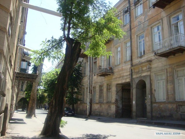 Поездка в Грузию.