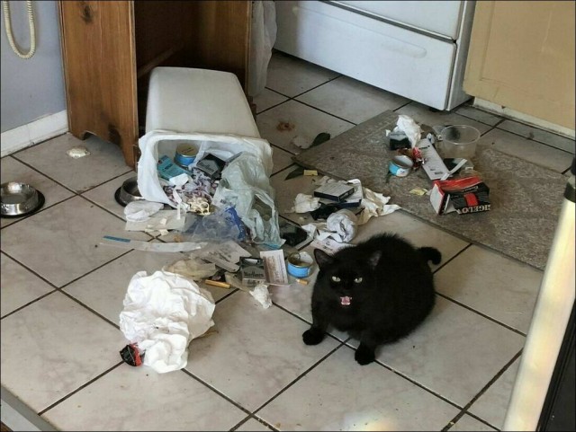 Просто фотографии