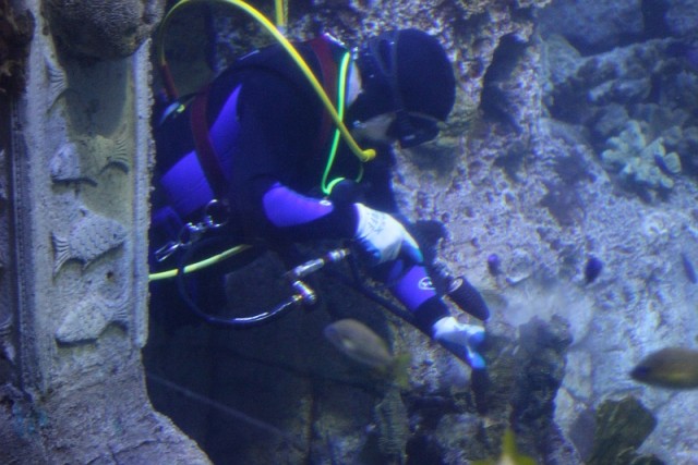 Деревенская Америка