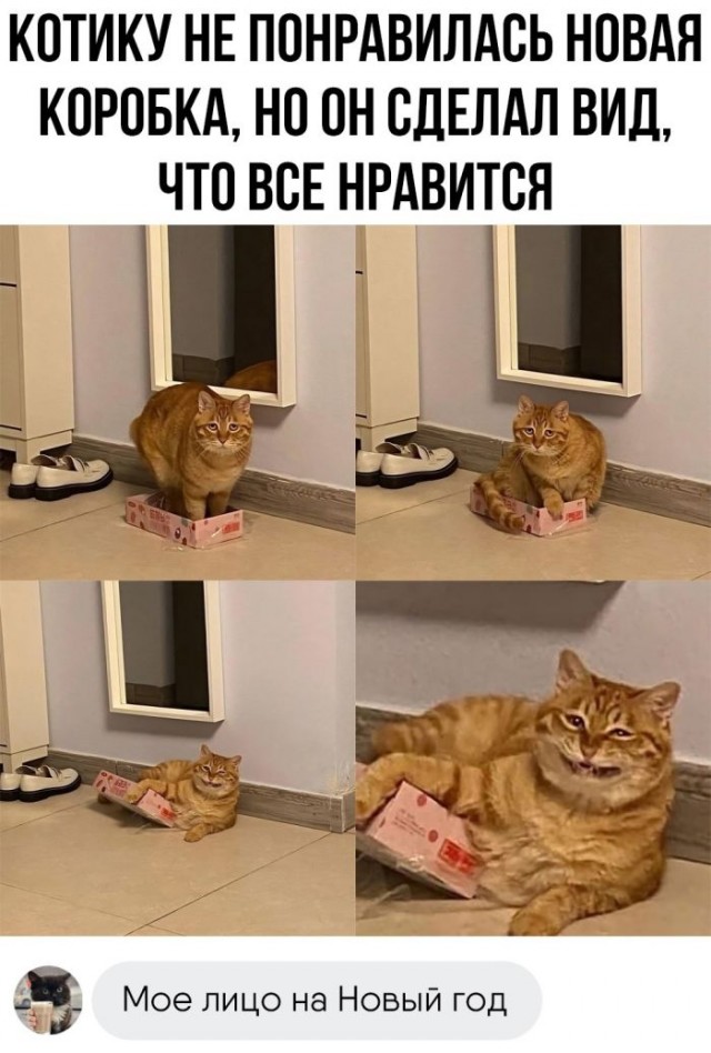 Немного картинок для настроения - 127