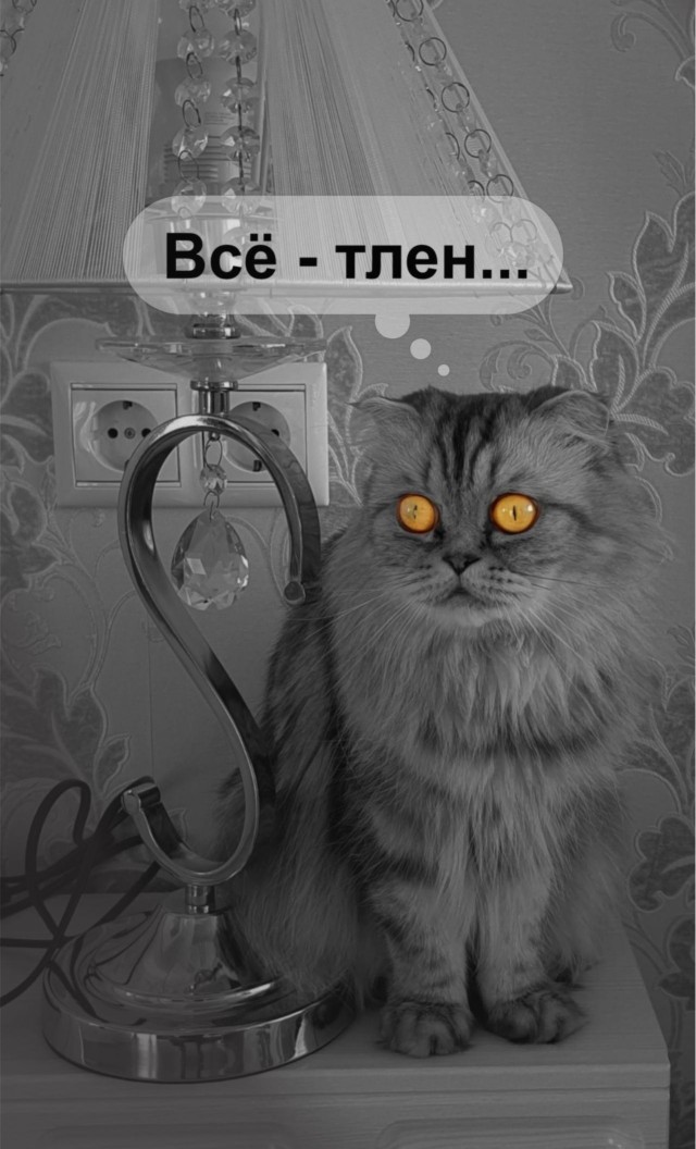 Поймал момент!