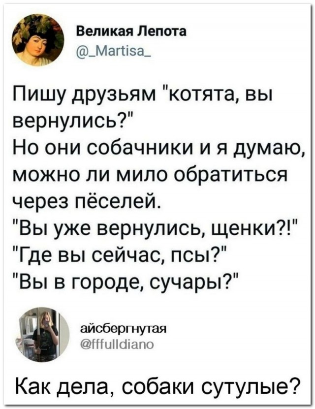 Забавные комментарии из социальных сетей (16.01.23)