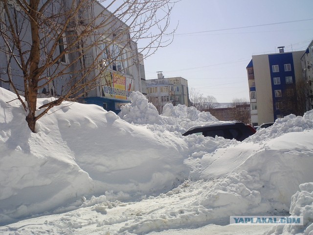 Весна на Камчатке