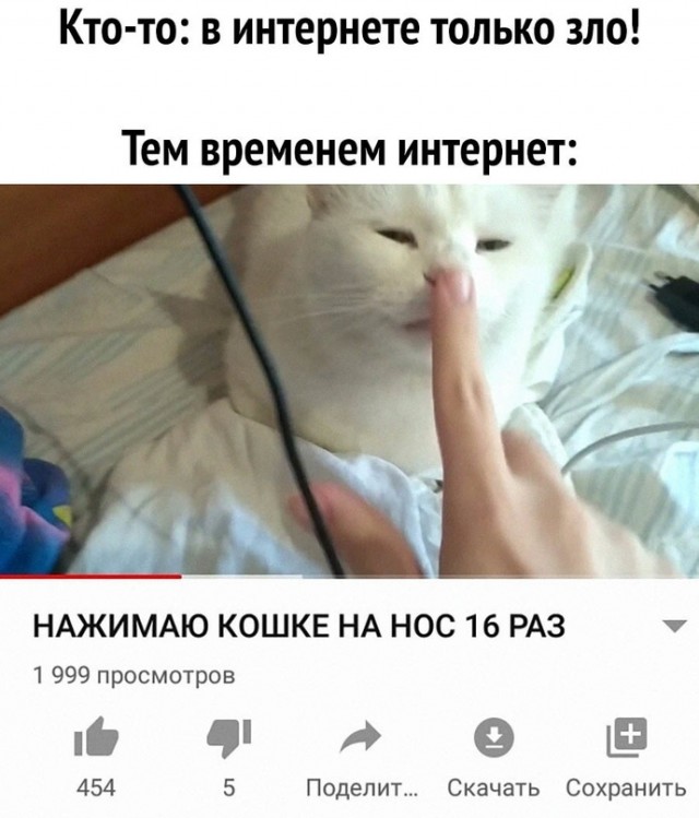 Немного картинок для настроения - 177