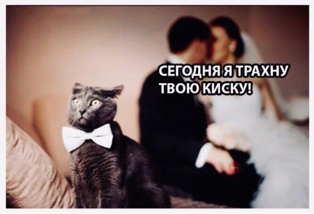 Немного пошлых картинок 08.05.23