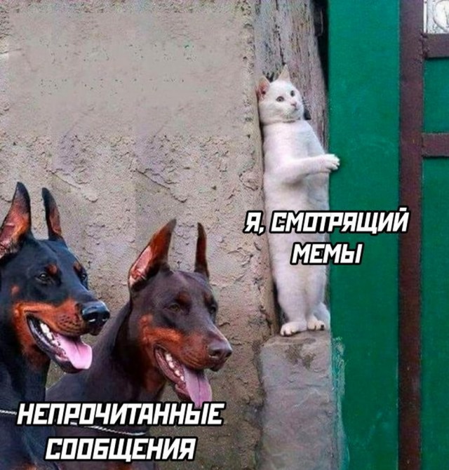 Прикольные и просто красивые картинки 16.05.2023