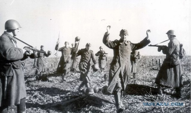 22 июня 1941. Это война!