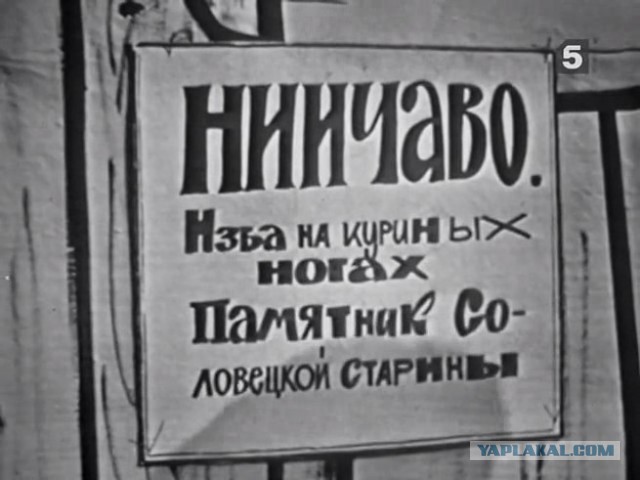 16 юморных вывесок на грани фола, мимо которых точно нельзя пройти, не посмеявшись