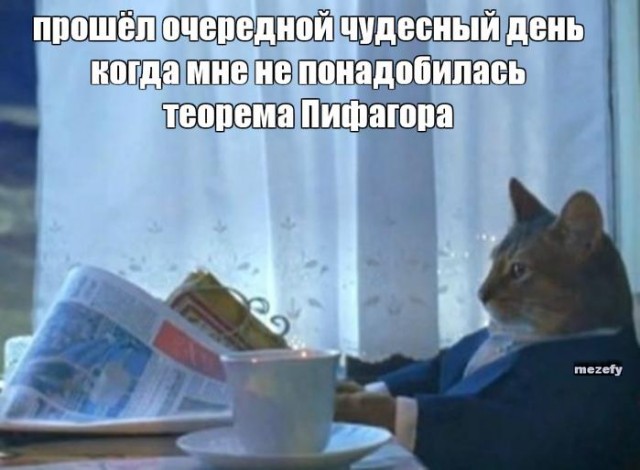 Весёлый полтишок 22.10.23