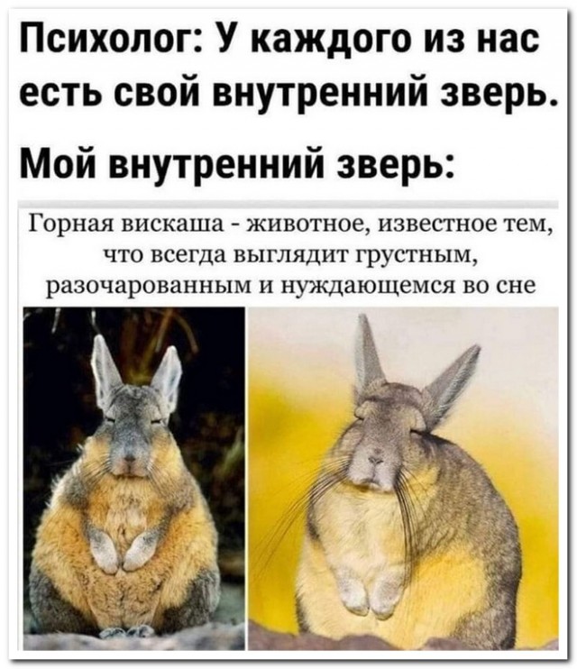 Забавные комментарии из социальных сетей 08.01.24