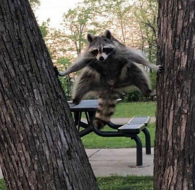 Подборка интересных и веселых картинок 14.02.24